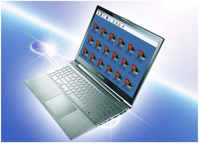 Belt scale remote expert system