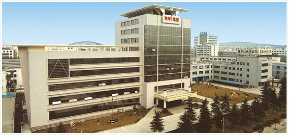 pa视讯平台官网入口艾普