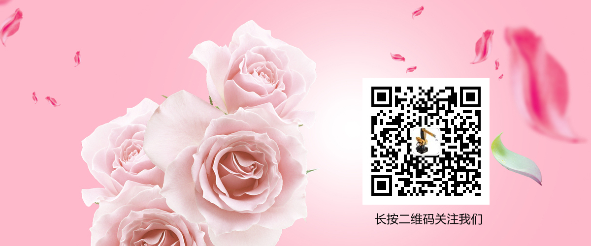 pa视讯平台官网入口艾普机器人