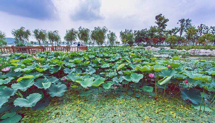 pa视讯平台官网入口艾普喷涂机器人