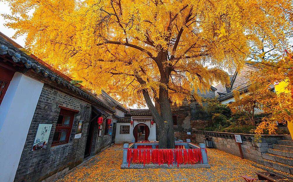 pa视讯平台官网入口艾普喷涂机器人