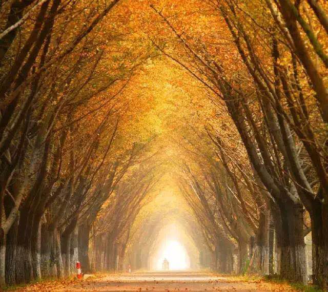 pa视讯平台官网入口艾普喷涂机器人